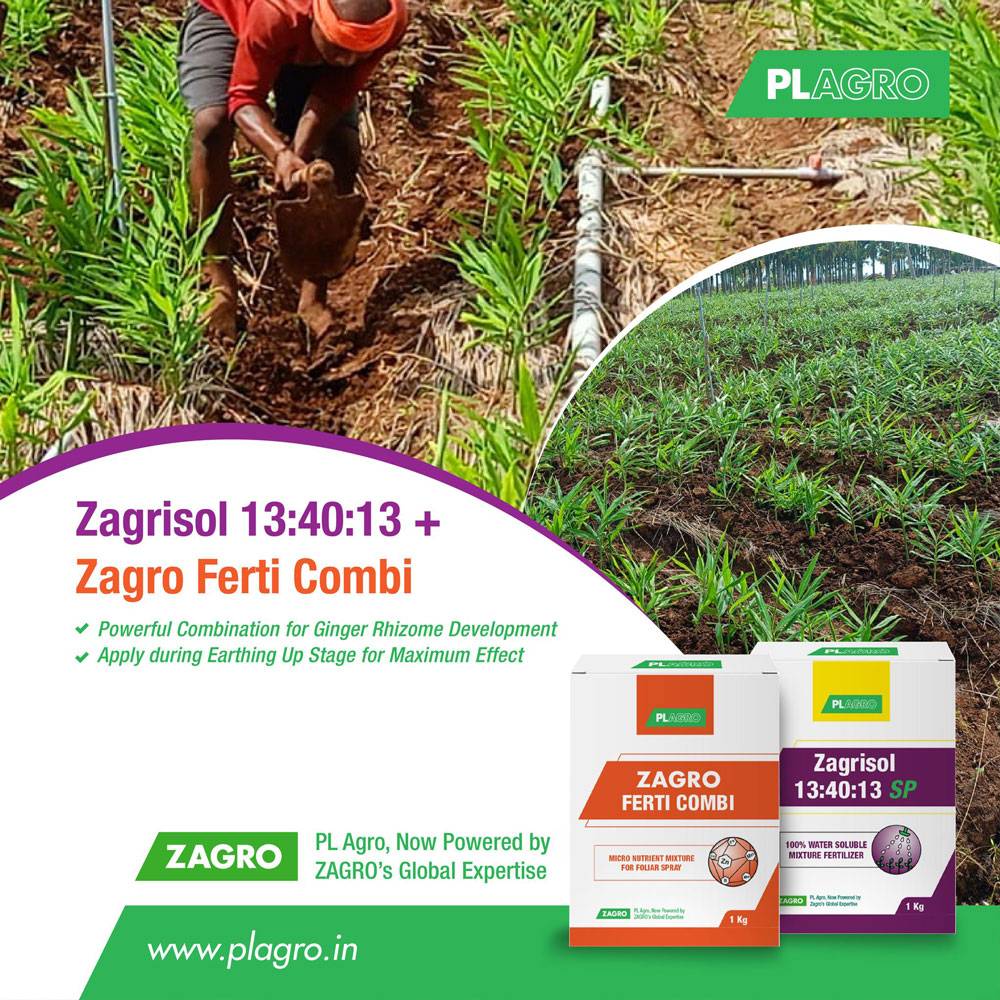 Zagrisol 13 40 13 + Zagro Ferti Combi